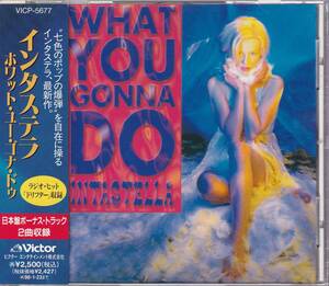 インタステラ / ホワット・ユー・ゴナ・ドゥ/INTASTELLA / WHAT YOU GONNA DO★日本盤/帯