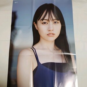 DK204 賀喜遥香（乃木坂46）◆ポスター 両面 雑誌付録