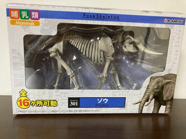 ポーズスケルトン　哺乳類シリーズ　01 ゾウ　リーメント 化石　骨