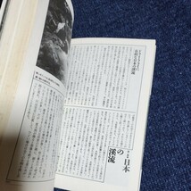 渓流のドライ・フライ・テクニック　釣り場の戦略　沢田賢一郎　山と渓谷社　1992年第5刷_画像6