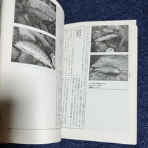 渓流のドライ・フライ・テクニック　釣り場の戦略　沢田賢一郎　山と渓谷社　1992年第5刷_画像9