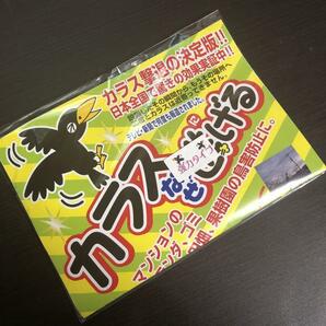 カラス撃退！効果抜群！カラス 対策 カラスなぜ逃げる? 強力タイプの画像4