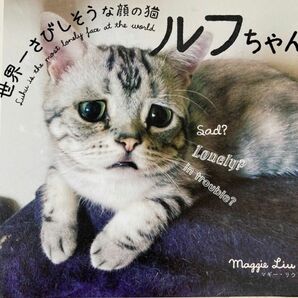  世界一さびしそうな顔の猫ルフちゃん マギー・リウ／著