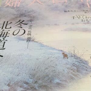 婦人画報 ２０２３年１２月号 （ハースト婦人画報社）冬の北海道へ