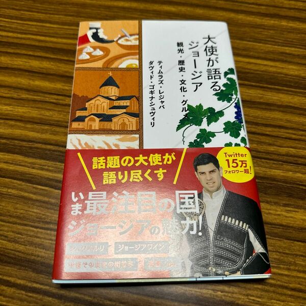 大使が語るジョージア　観光・歴史・文化・グルメ （星海社新書　２４６） ティムラズ・レジャバ／著　ダヴィド・ゴギナシュヴィリ／著