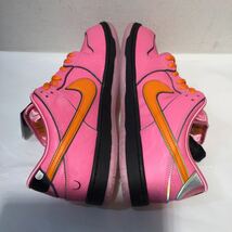 NIKE ナイキ FD2631-600 The Powerpuff Girls ザパワーパフガールズ SB DUNK Low Pro ダンクロー プロ レッド ピンク 29cm 649343_画像4