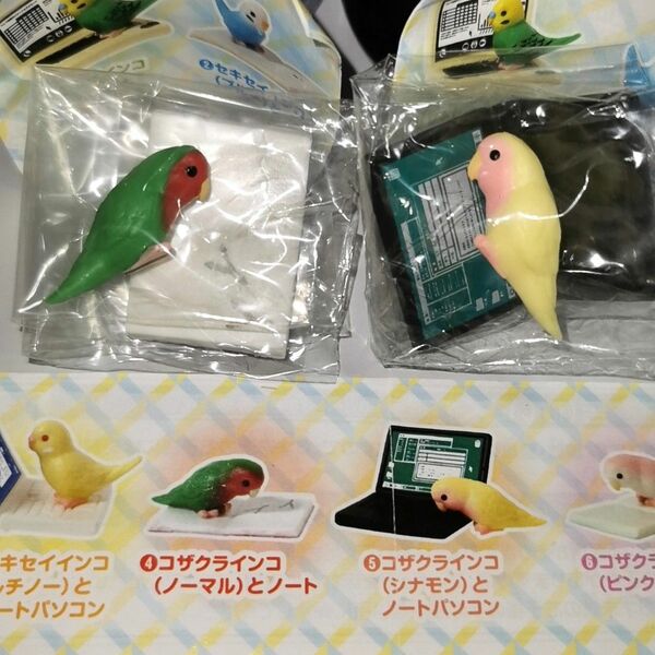 テレワークじゃまインコ　コザクラインコ（ノーマル）とノート＆コザクラインコ（シナモン）とノートパソコン　指のりサイズ　小鳥　小動物