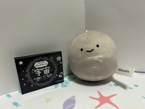 クオリア にっこりーノ 宇宙のぬいぐるみ 水星