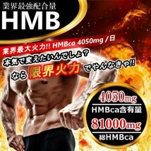 HMB決定版！！　1粒1250mg→1350mgにUPした業界トップHMB　60錠 【ビルドマッスル・メタルマッスル2袋弱分】_画像1