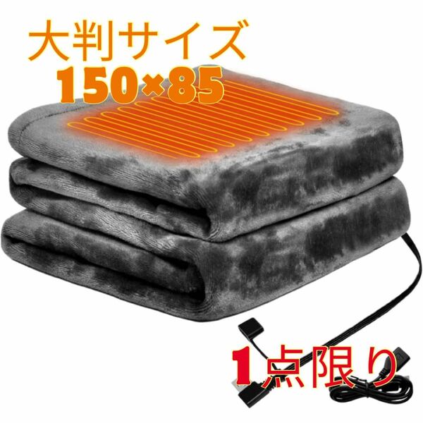 【1点限り】電気毛布 掛け 150×85cm 大判サイズ 掛け敷き兼用 防寒 電気ブランケット