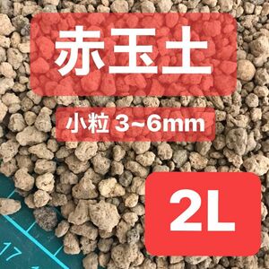 硬質赤玉土 小粒 約2L 多肉植物 サボテン 観葉植物土 魂根植物