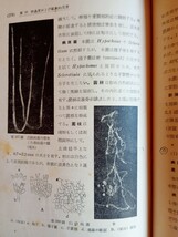 「農学大系作物部門 桑編」堀田 吉著　　昭和２６年発行　桑研究　農業　農家　１９５１年　_画像10