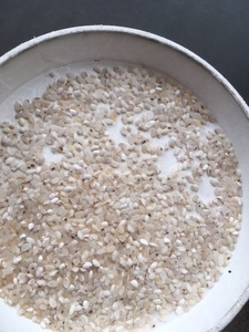 「全国的にくず米が不足高騰」B-1うるちくず米　鳥餌　20kg(10kg×2) 関東、北陸、中部、近畿のみ定額発送