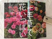 NHKテキスト 趣味の園芸 2024年3月号_画像5