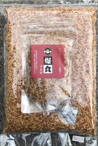 爆食小エビ100g(測り売り)(クリル)肉食魚幼魚 フグ アロワナ シクリッド アベニーパファー 海水魚 イモリ カメ(熱帯魚 両性爬虫類)送料無料