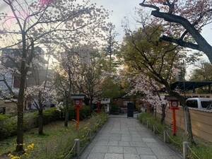 1円 画像 相互評価 即決 オリジナル写真 神社の道