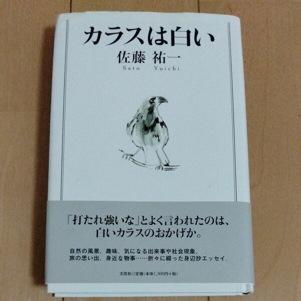 カラスは白い 佐藤祐一／著