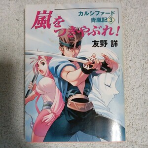 嵐をつきやぶれ! カルシファード青嵐記3 (角川スニーカー文庫) 友野 詳 TAKAMICHI 9784044608279