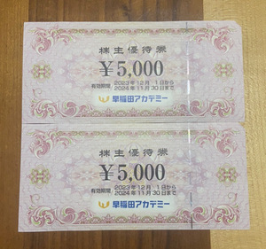 早稲田アカデミー株主優待券5000円×2枚　有効期限：2024年11月30日