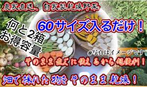 農家自家製お任せ乾燥野菜　60サイズ入るだけ発送2箱セット破格！