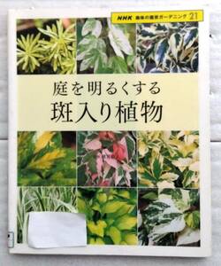 庭を明るくする斑入り植物 (NHK趣味の園芸ガーデニング21) 横井政人