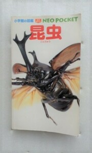  насекомое ( Shogakukan Inc.. иллюстрированная книга NEO карман ) маленький .. один Machida дракон один . др. 