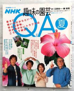 NHK趣味の園芸Q&A 夏 生活ほっとモーニング (生活実用シリーズ)