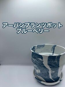 アーバンプランツポット　ブルーベリー