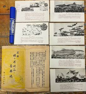 ★貴重★戦前絵葉書 古写真 資料★袋付/6枚★滋賀 醒井養鱒場★川鱒 虹鱒 稚魚 卵★魚類資料★戦前