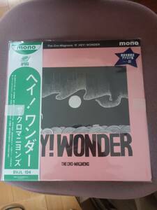 【Amazon.co.jp限定】HEY! WONDER (完全生産限定盤) (アナログ) (メガジャケ付) [Analog]ザ・クロマニヨンズ