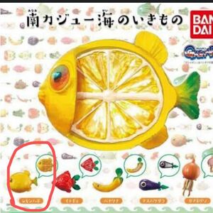 南カジュー海のいきもの　ガチャガチャ　シュール　キモカワ　果物　野菜　魚　熱帯魚