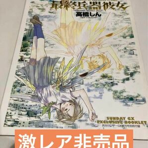 【激レア非売品】最終兵器彼女　付録　小冊子　入手困難