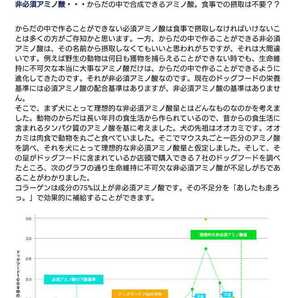 あしたも走ろっ。 160g×2袋 犬用 子犬 シニア犬 健康補助食品 サプリメント コラーゲン 新品未開封 健康維持 の画像4