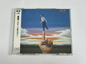 N.S.P NSP 天中平 夕陽を浴びて CD