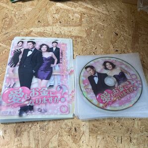 愛もお金になりますか？　韓国ドラマ 全巻 DVD レンタル落ち