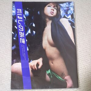 月刊ほしのあき (新潮ムック) 谷口 尋彦 写真