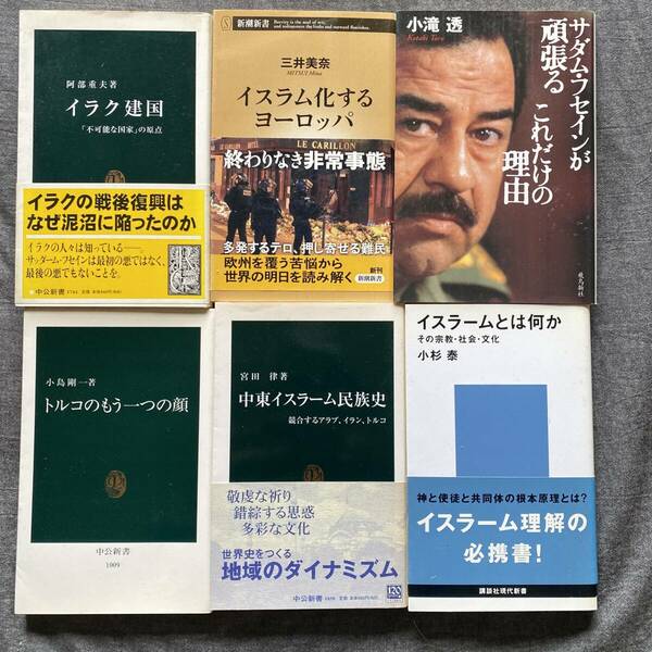 6冊セット、イスラム、中東、イラク、トルコ関連書籍まとめて サダムフセインが頑張る　これだけの理由　小滝透 イスラームとは何か　その