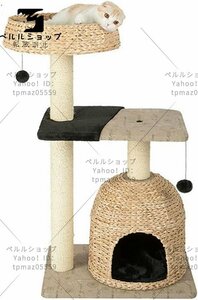 キャットツリー 猫の登山フレーム猫のトイレ猫の木猫の家夏の猫のトイレ小さな猫のおもちゃペット用品