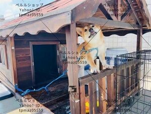  is good quality * dog house outdoors door . window attaching dog for kennel Home Town dog house terrace outdoors wooden for large dog XL kennel 