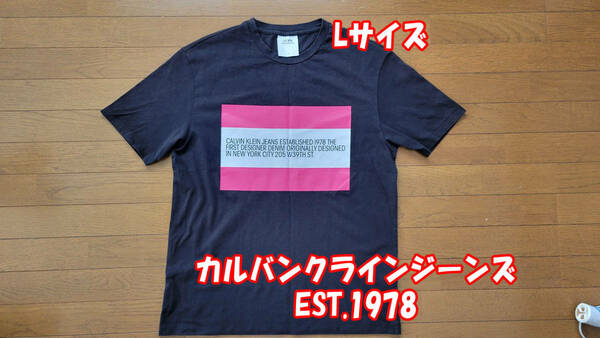 カルバンクラインジーンズ Est.1978 Tシャツ Lサイズ ラフシモンズ