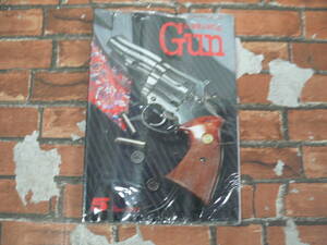 【未開封】月刊Gun 2011年5月号
