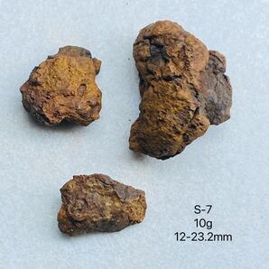 パラサイト隕石 10g23.2㍉石鉄隕石 隕石 セリコ隕石 宇宙隕石 隕石　石鉄隕石 宇宙パワー 高品質隕石 地球とほぼ同年齢の貴重な石鉄隕石 
