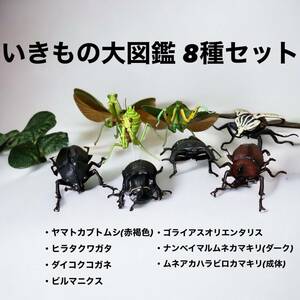 いきもの大図鑑 8種セット カブトムシ/クワガタ/カマキリ ヒラタクワガタ・ヤマトカブトムシ・ゴライアスオリエンタリス・ビルマニクス他