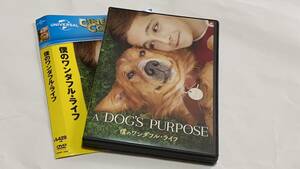 ★僕のワンダフル・ライフ　DVD