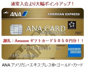 【正規ご紹介】ANAアメックス ゴールド カード AMEX アメリカン エキスプレス 公式よりポイント増量！＋発行の謝礼5,050円分！