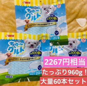 【60本セット！】サンライズ ゴン太のちゅーグルト 16g×60本 犬のおやつ ちゅーる チュール トッピング ペースト フード