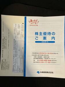 【送料無料】最新 小林製薬 株主優待 自社製品カタログ5000円相当