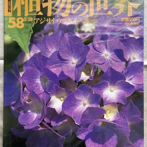 【古本/6冊】週刊朝日百科 植物の世界 54,55,56,57,58,59 ◇ 朝日新聞社の画像6