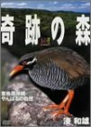 大自然ライブラリー 奇跡の森~亜熱帯沖縄・やんばるの自然~湊和雄 [DVD](中古品)