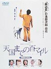 天国までの百マイル [DVD](中古品)